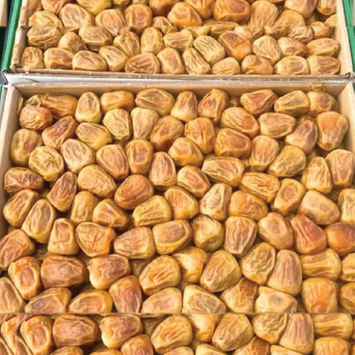 মাজারি সাইজের শুকনো খেজুর